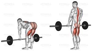 Image showing how to do deadlifting clearly.